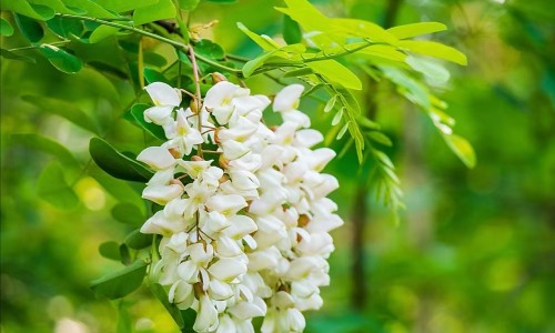 tct和活检有必要一起做吗-【tct检查和活检一样吗】tct和活检结果差多少 - tct和活检有什么区别网